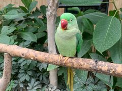 -南宫五洲植物乐园