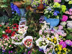 -双季花艺园艺市场(浦东店)