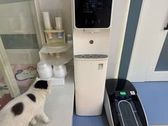 -全心全意动物诊疗中心医院(北苑店)