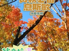 -徐家汇公园
