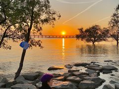 -宝安西湾红树林湿地公园