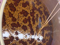 -徐妹串串香(春熙路店)