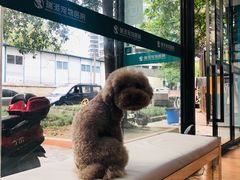 -瑞派宠物医院(锦江店)