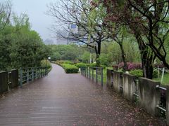 -月湖风景区