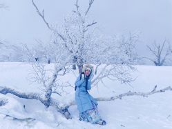 -大秃顶子山(雪谷店)