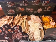当季野生菌四拼-芸山季·云南野生菌火锅(人民广场来福士店)