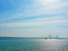 -星海湾跨海大桥