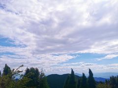 -武陵山森林公园