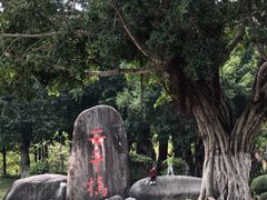 -安平桥