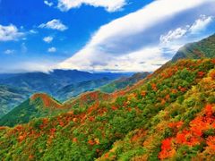 -秦岭天竺山景区