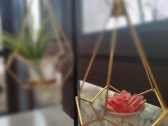 -金鸡湖桃花岛