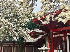 -大慈恩寺(大雁塔)