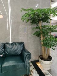 -名作·臻美Hair SaLon