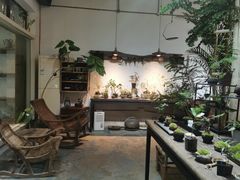 -植觉