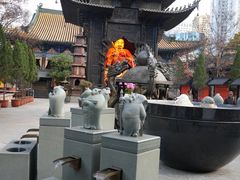 -真庆观