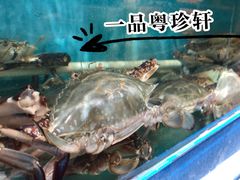 -一品粤珍轩(吴中路店)