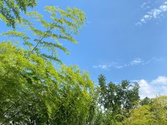 -驿舍·民國老营房院子私房菜(科学会堂店)