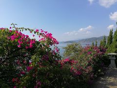 -南诏风情岛