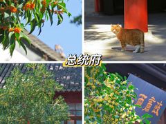 -鸡鸣寺