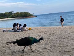 -巴拉湾海滩