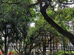 -海珠湖公园