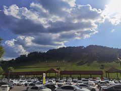 -关山草原