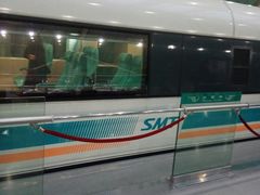 -龙阳路磁悬浮列车总站-停车场