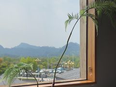 -宴武夷·匠心闽味(印象大红袍店)