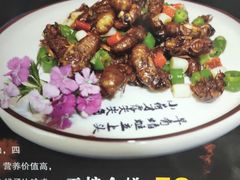 干煸金蝉-蒙阴光棍鸡(新石中路店)