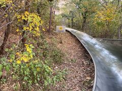 -富斯特索道