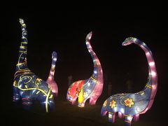 -南通洲际绿博园