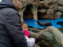 -华夏文旅海洋公园