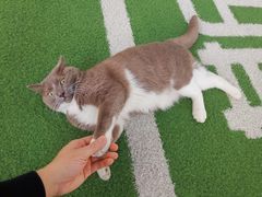 -AK健身普拉提拉伸私教馆(中八店)