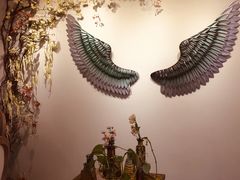 -春风·有糖(崇宁路店)