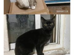 -盒马鲜生(富田新天地店)