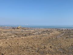 -日照海滨国家森林公园