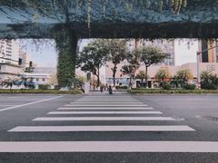 -溪岸路花鸟市场