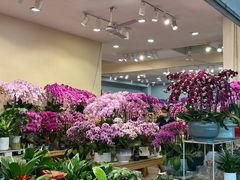 -双季花艺园艺市场(浦东店)