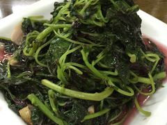 -协和菜馆(凤凰街店)
