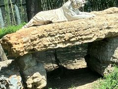 -上海野生动物园