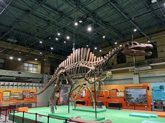 -国家自然博物馆