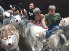 -TrueLove @ Neverland (Husky Cafe)