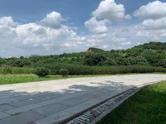 -东莞植物园