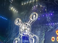 -广州长隆国际大马戏