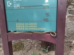 -北京凤凰岭