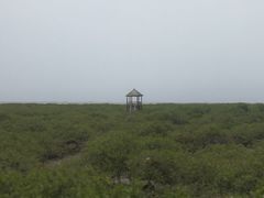 -北海金海湾红树林生态旅游区