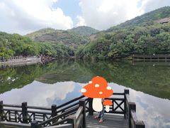 -白马涧龙池景区