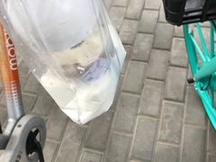 -兰熊鲜奶(西直门凯德mall店)