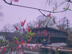 -猫的天空之城概念书店(苏州平江店)