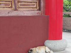 -皇罗禅寺